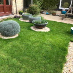 Techniques de taille pour maintenir un jardin esthétique et en bonne santé Alencon